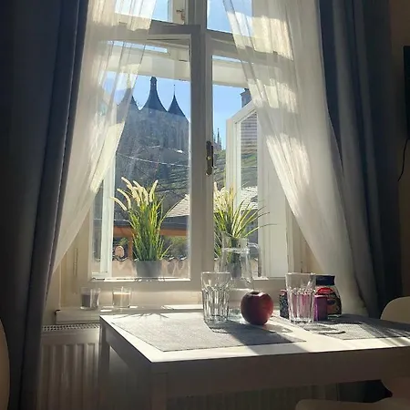 아파트 Comfortable Under The St. Barbara's Cathedral 쿤타호라