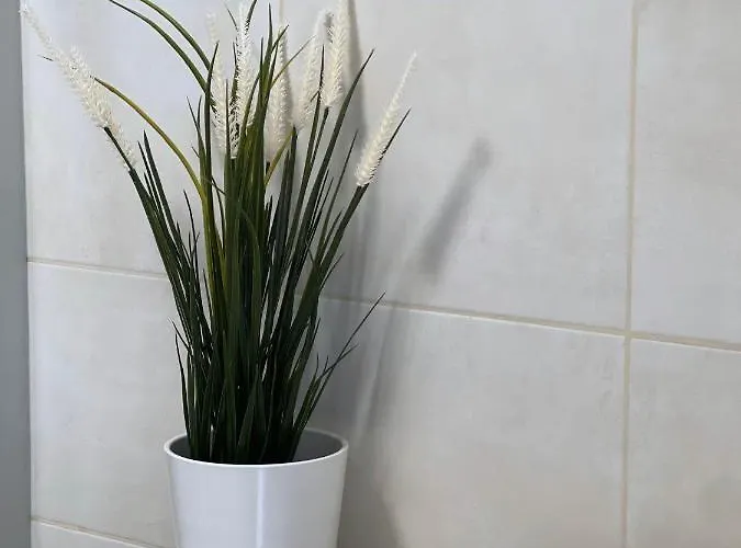 公寓 Comfortable Under The St. Barbara's Cathedral