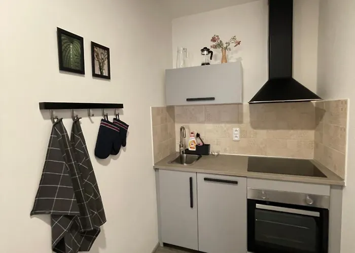 公寓 Comfortable Under The St. Barbara's Cathedral